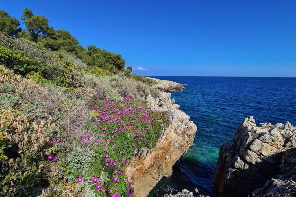 Casalionelantibes 70 Sqm Apartment With Garden And Parking Екстер'єр фото